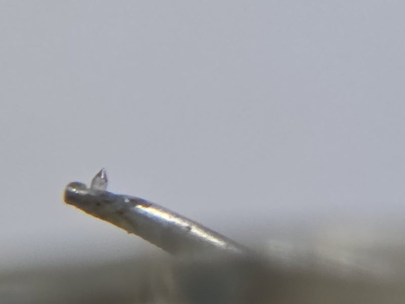 Grace F8L10 Stylus Carousel 14