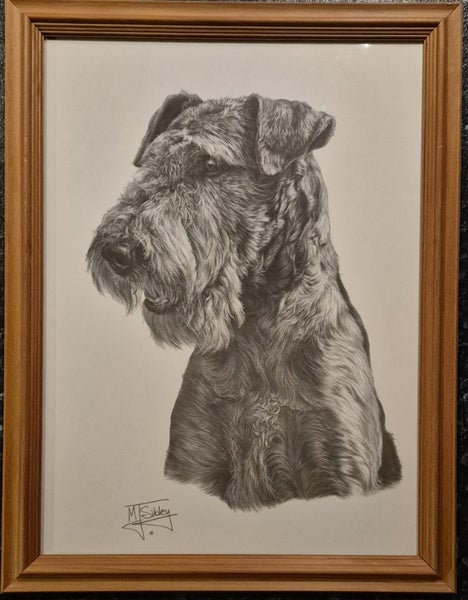 Framed Airedale Terrier Print Carousel 1
