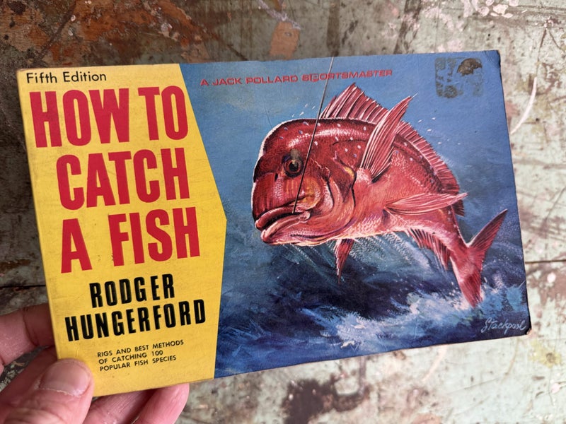 How to catch a fish Rodger hungerford Carousel 1