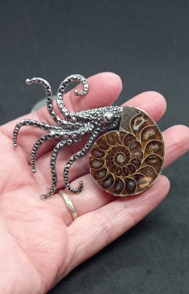 Ammonite fossil brooch Carousel 4