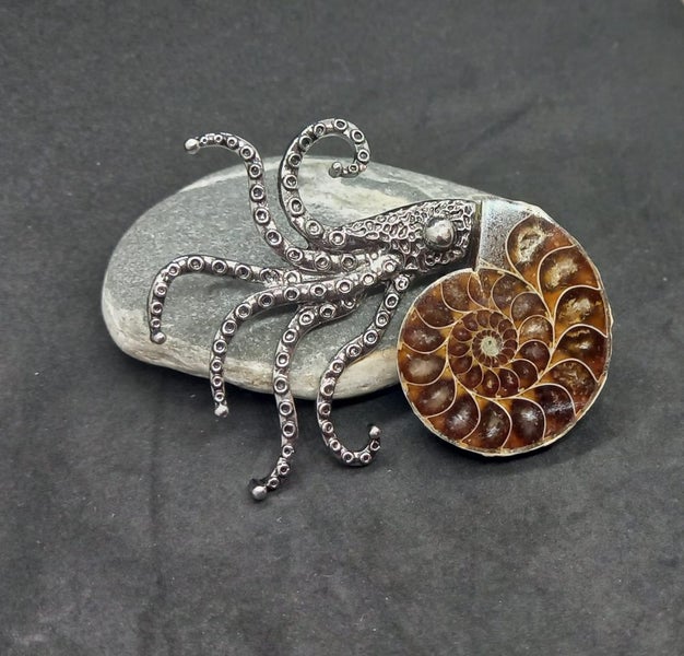 Ammonite fossil brooch Carousel 1