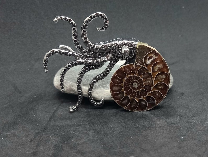 Ammonite fossil brooch Carousel 2