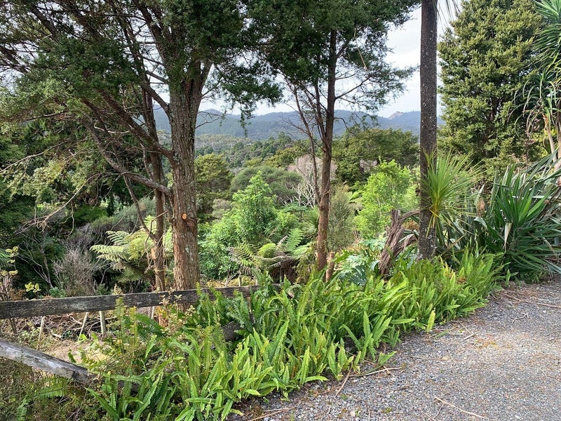 Image 1 of 12