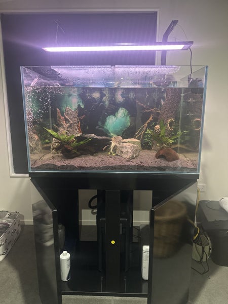 Aquarium and Stand Only Carousel 4