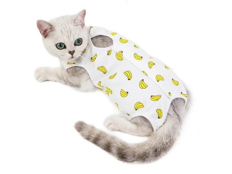 Cat Clothing Carousel 1