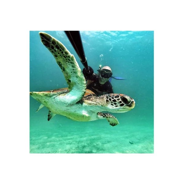 SP Gadgets POV Pole - 20" For Go Pro Carousel 6