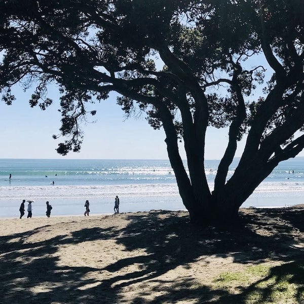 Tasca Orewa Carousel 4