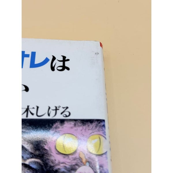 Mizuki Shigeru Print Book Minor Imperfections Carousel 2