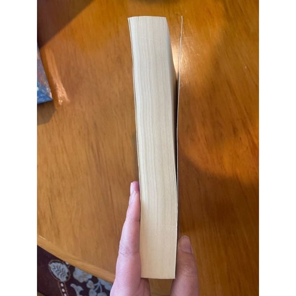 The Novel in the Viola - Natasha Solomons Carousel 2