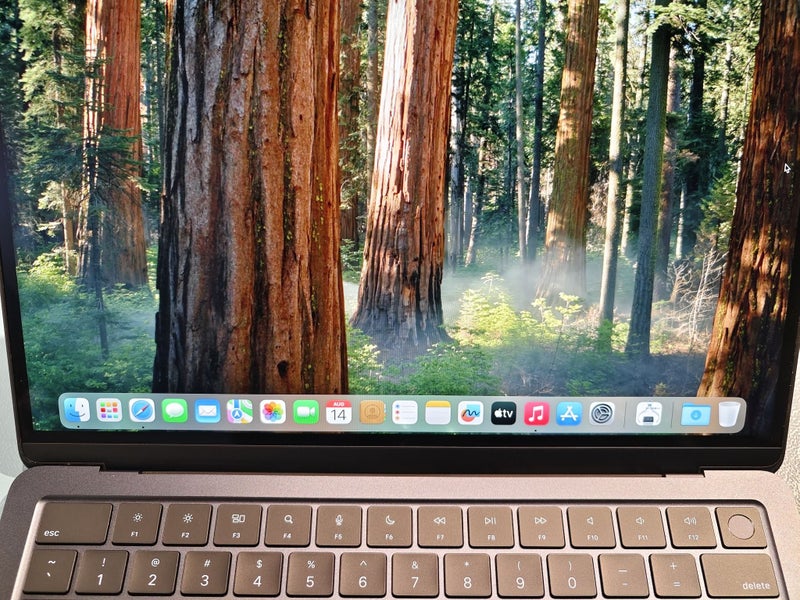 MacBook Air 13" A2681 Screen Assembly (Used, Pulled out) - Midnight Carousel 5