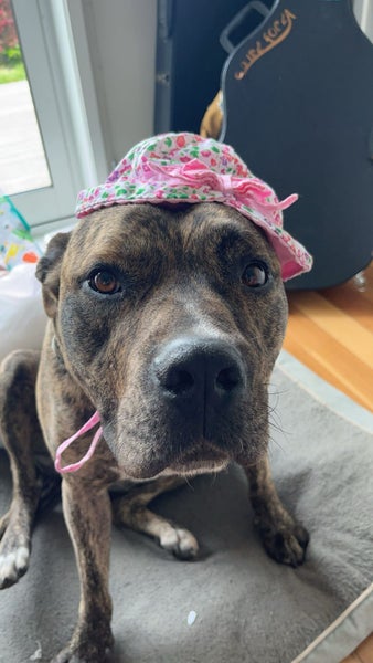 Max - Part Time Potato, Full Time Goofball Carousel 7
