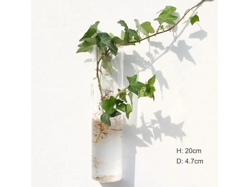 Fashion Wall Hanging Glass Vase Terrarium Aquarium Container For Home Garden Carousel 1