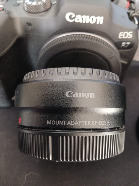 Canon EOS R7, 50mm f1.863616978427779114