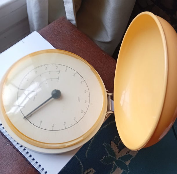++ SUZY KITCHEN WALL SCALES ++ $1 RESERVE Carousel 2