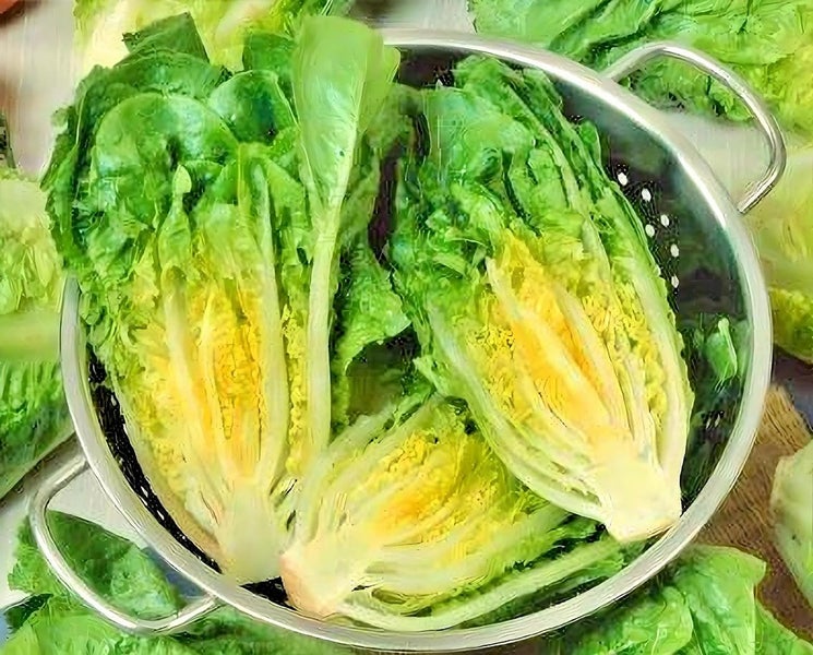 LETTUCE "Little Caesar" seed ~ Sweet and Crisp, Gardens, Containers *HEIRLOOM* Carousel 5