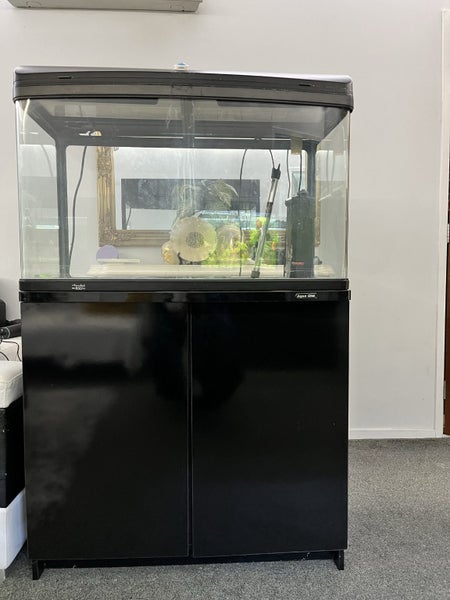 Aqua one 850(full aquarium setup) Carousel 1
