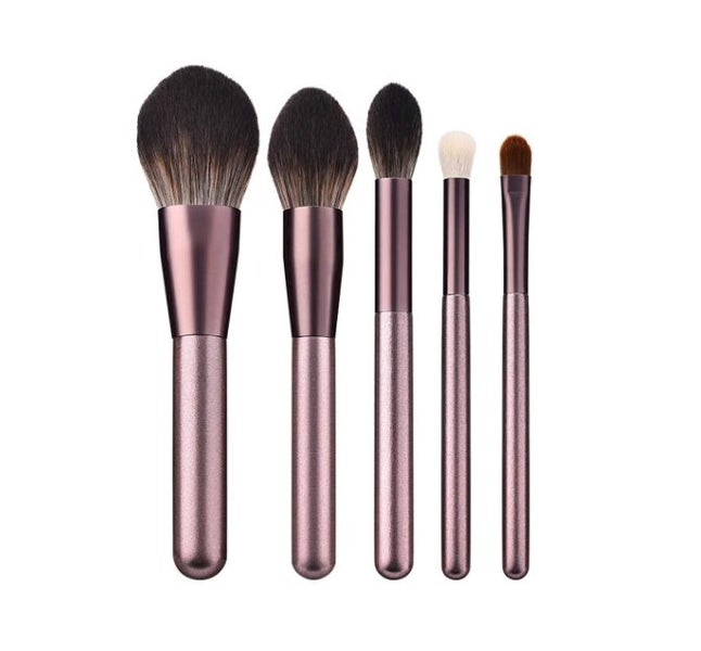 Makeup Brush Set 5PCS Carousel 1