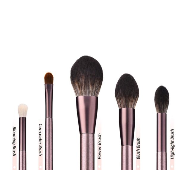 Makeup Brush Set 5PCS Carousel 2