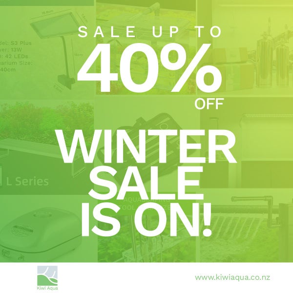 DIY CO2 Stainless Bottle Base Carousel 2