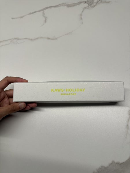 KAWS - KAWS HOLIDAY SINGAPORE - FAN Carousel 13