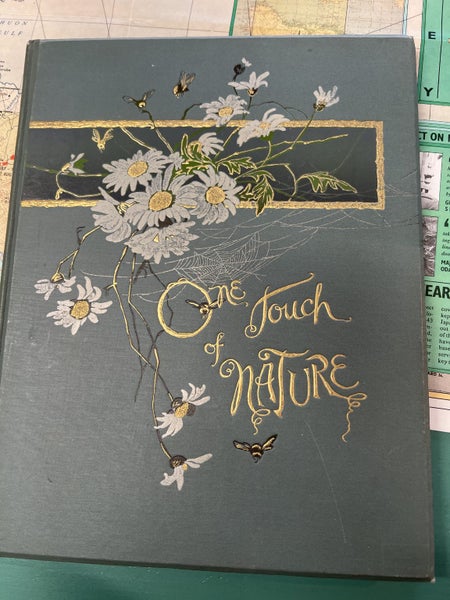 One Touch of Nature (1902) Carousel 1