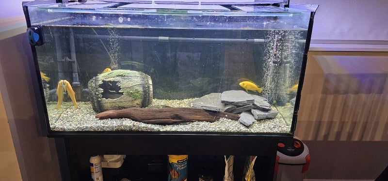 240ltr complete fish tank Carousel 2