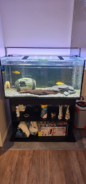 240ltr complete fish tank Carousel 1