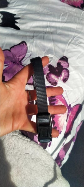 Dog collar NEW Carousel 4