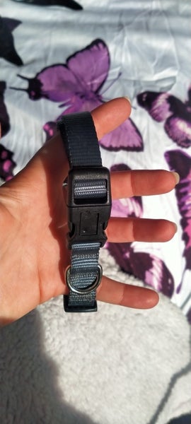 Dog collar NEW Carousel 1