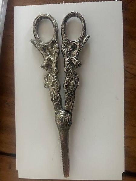 Silver grape scissors Carousel 4