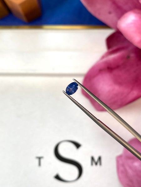 $1 RES ~ $1700 By Now * 0.68ct Blue Sapphire Carousel 5