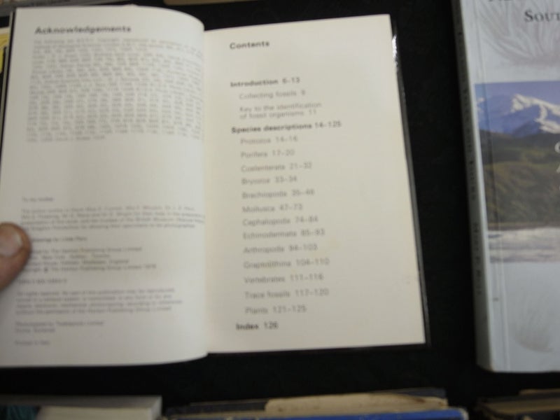 Hamlyn Nature Guides Fossils Richard Moody Carousel 2