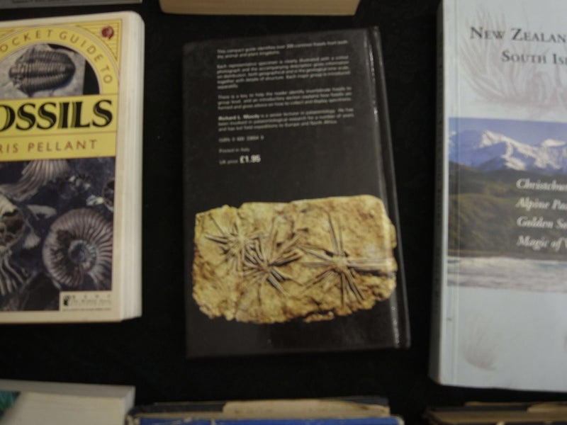 Hamlyn Nature Guides Fossils Richard Moody Carousel 5