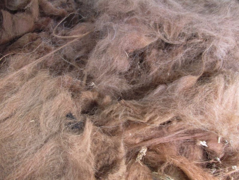 Llama Fleece #40 Light Caramel Brown natural blend Carousel 1