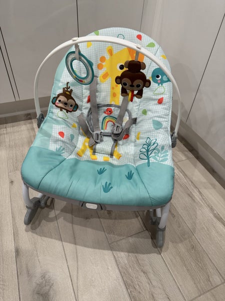Bright Starts Infant To Toddler Rocker Carousel 1