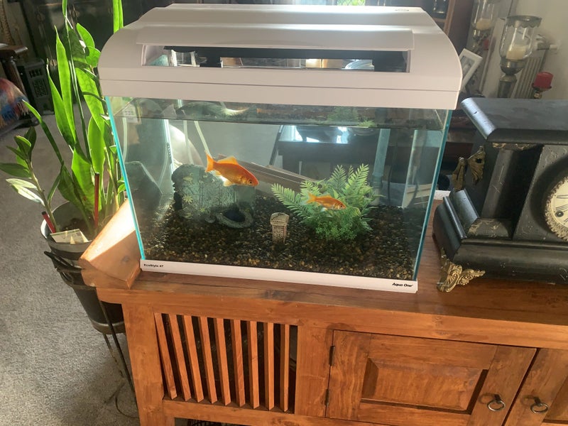 Aqua One EcoStyle 47 38L Plus 2 x Goldfish & Accessories Carousel 1