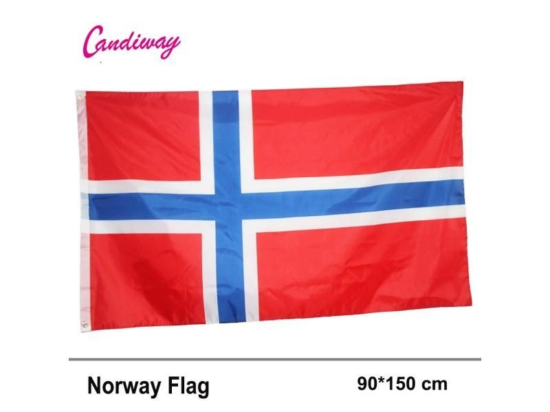NORWAY Flag Norwegian Kindom Flags 3x5 FT European Country National Decoration Carousel 1
