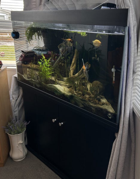 Large Corner Tropical Fish Tank with fish and multiple accessories Carousel 1