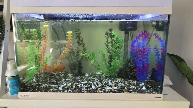 60L Fish Tank - Everything you need Carousel 1