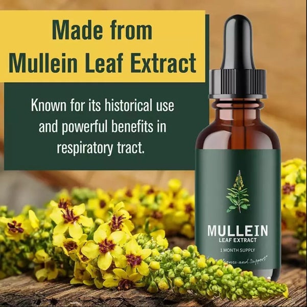 Mullein Leaf Extract Carousel 6