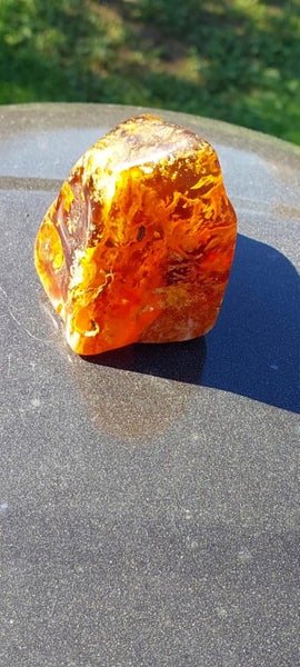 $1 Reserve nice piece of polished kauri gum Carousel 2