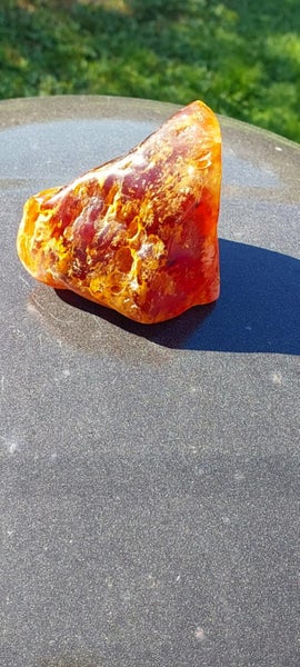 $1 Reserve nice piece of polished kauri gum Carousel 5
