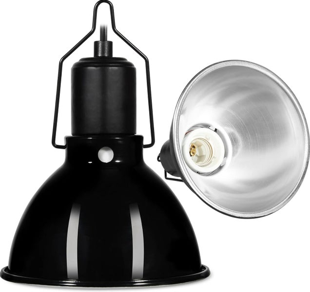 5.5inch Shallow Dome Reptile Light Fixture on Afterpay64310981790339110