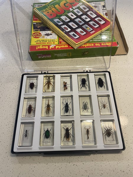 National Geographic 15 resin mounted real life bugs & insects + extras Carousel 1