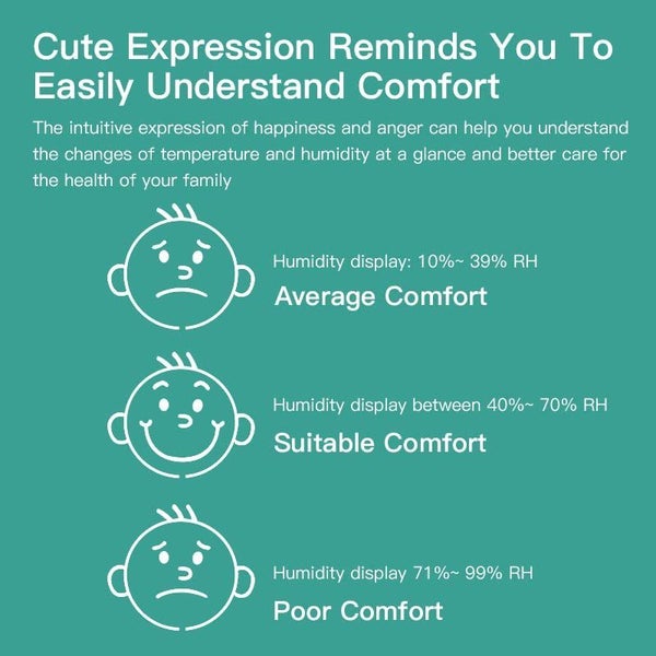 2pcs Thermometer Hygrometer Clearance64764976344705113