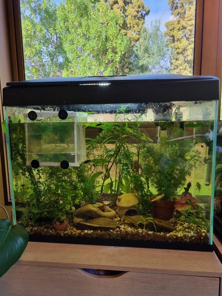 Blue Planet 70L Fish Tank Carousel 2