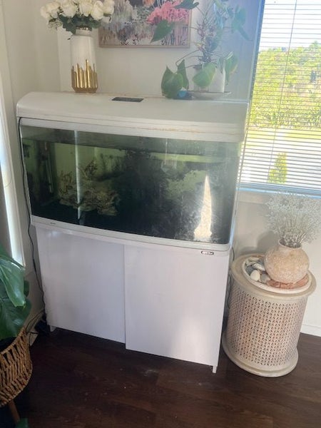 AQUARIUM (AQUA 980) WITH FISH & SETUP Carousel 2