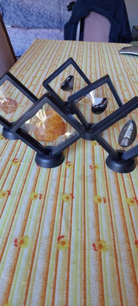 5 x Display polished Kauri Gum. Trilobite and Rocks Carousel 1