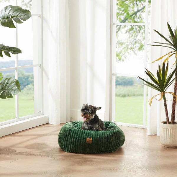 Charlie's Ascher Plush Corduroy Square Dog Bed Eden Green - Small Carousel 2