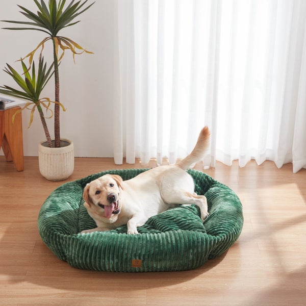 Charlie's Ascher Plush Corduroy Square Dog Bed Eden Green - Medium Carousel 1